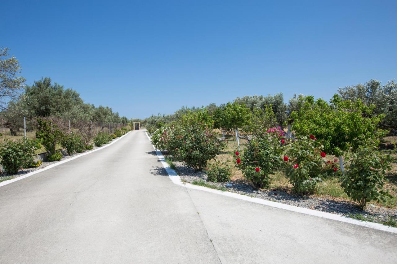Serenity Sea-view Daire
