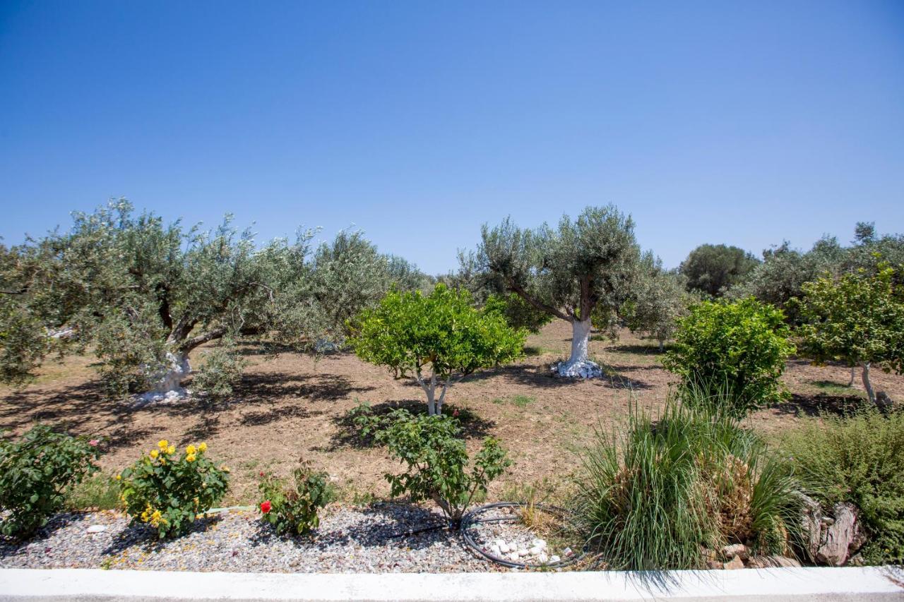 Serenity Sea-view Daire *