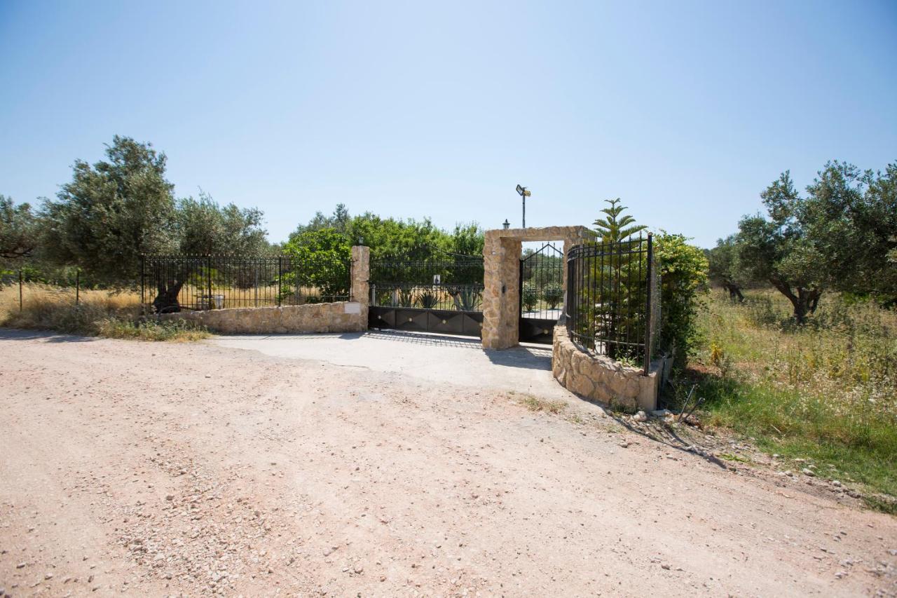 Serenity Sea-view Daire